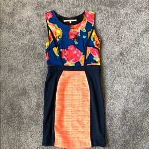 Rachel Rachel Roy Dress